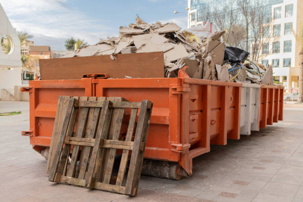 Best Shed Removal  in Lincoln, ND
